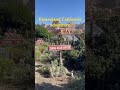 Disneyland California adventure #viral #disney #trending