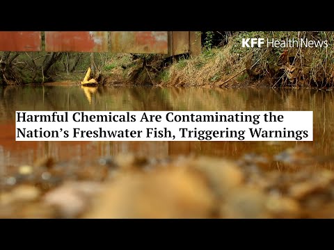 Harmful Chemicals Are Contaminating the Nation’s Freshwater Fish, Triggering Warnings