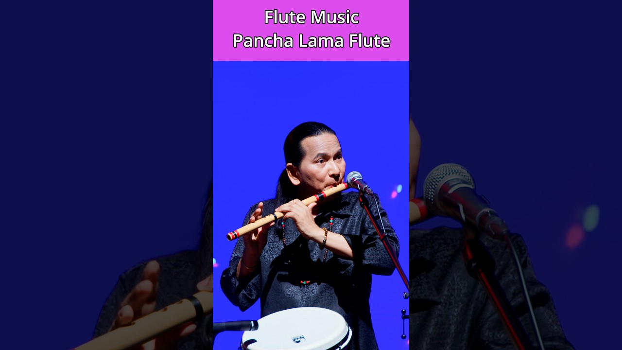 Bossa Nova | Flute Music | Bansuri Tabla | Basuri Dhun | Instrumental Music | #flute #flutemusic