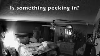 Who's Peeking in the Door?