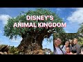 🔴LIVE STREAM🔴DISNEY ANIMAL KINGDOM  #livestream #disneytalk #disney #live #