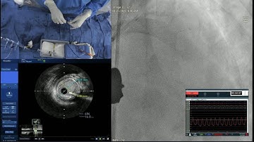 Live Relay: Mediquest January 2023