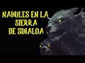 NAHUALES en la sierra de sinaloA realtos de horror de NAHUAL O NAGUAL historias de terror arlof 2021