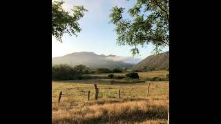 La Madrina