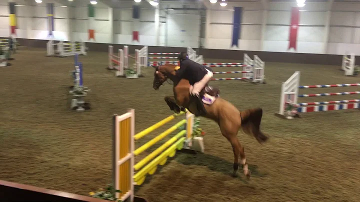 Billy Tudor addington Dec'17