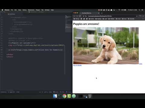 Full Stack Web Developer Course: 1_8 HTML Attributes