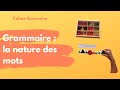 Grammaire : la nature des mots