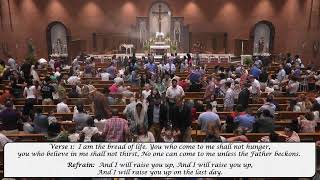 Why the Eucharist is the Source and Summit of Catholic Faith