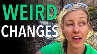 Weird Changes Long Distance Backpackers Experience