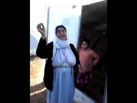 شنكال فرمانة74 24 