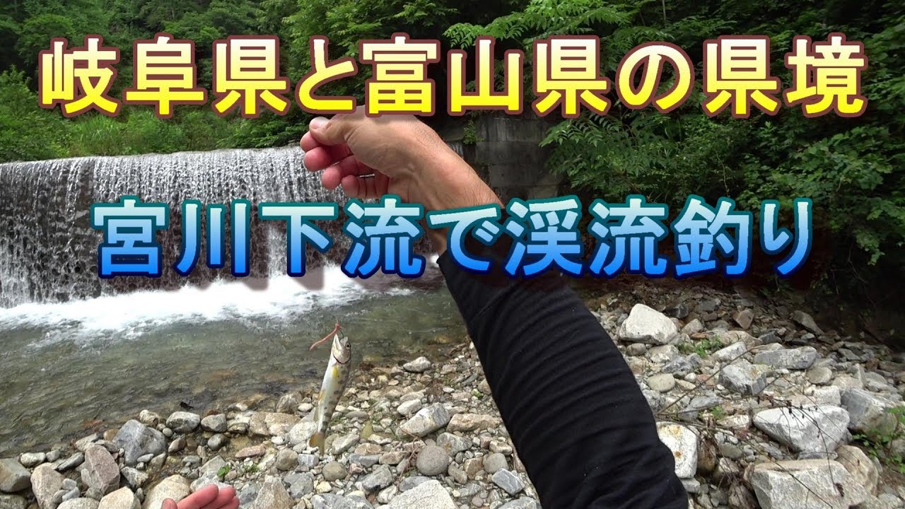 岐阜県と富山県の県境を流れる宮川で渓流釣り Youtube
