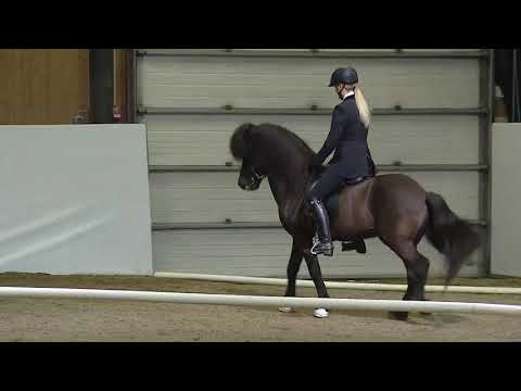 Elin Holst og