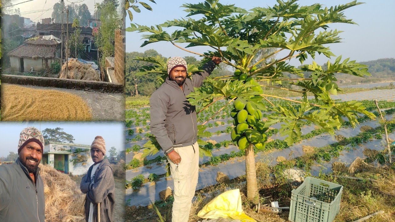 My Village Tour 😊 Hamare Khet 😍 