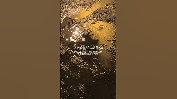 تلاوة من سورة لقمان للقارئ ياسر الدوسري#quran#حصن_المسلم#تلاوة_خاشعة#راحة_نفسية#ايات_قرانيه_قصيره