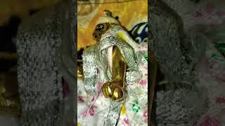 lalla💞Mera#radhakrishna #krishnbhakt #krishnpremi #lori #krishnalover #lovers #love #bhaktimarg #lv