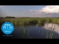 IMAX In Focus: Beyond the River of Grass Documentary (full)