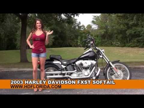 Used 2003 Harley Davidson FXST Softail Motorcycles for sale