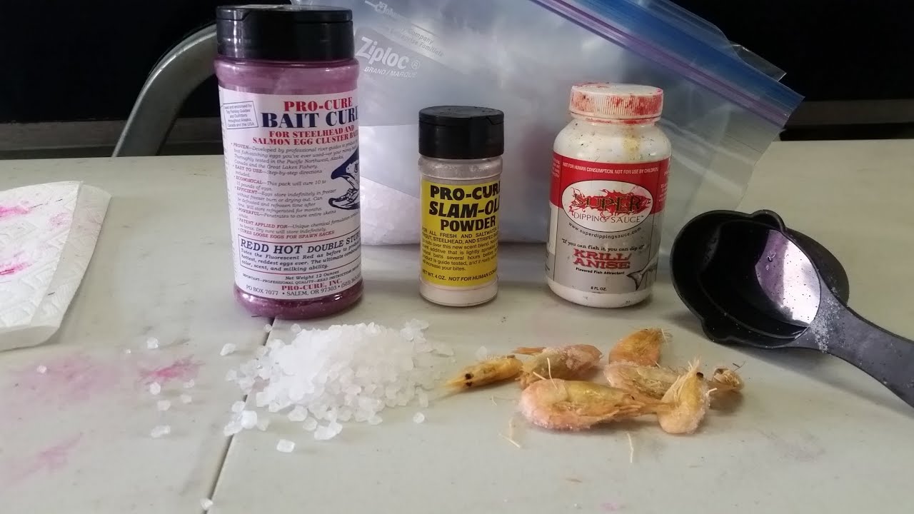 How I Cure My Coon Shrimp For Sockeye And Summer Chinook Youtube 