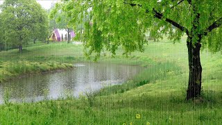 Rain sounds in a fresh and beautiful field  Soft Rain sounds for sleep