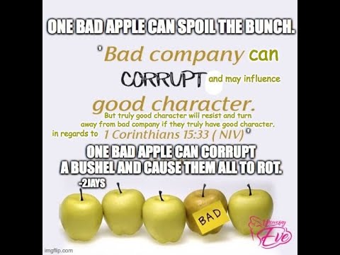 Bad Apple Proverbs: There's One In Every Bunch : NPR