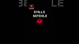 DU HÖRST SIE NICHT // STILLE BEFEHLE