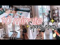 10 Minute Speed Clean✨| Mom Life Cleaning Motivation