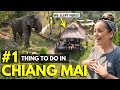 OUR FAVOURITE DAY IN THAILAND | Must Do this in CHIANG MAI (24hrs at Ethical Elephant Sanctuary )