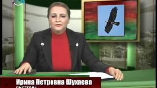 Максим Горький. Современное прочтение. Раннее творчество Максим Горький. Современное прочтение. Раннее творчество