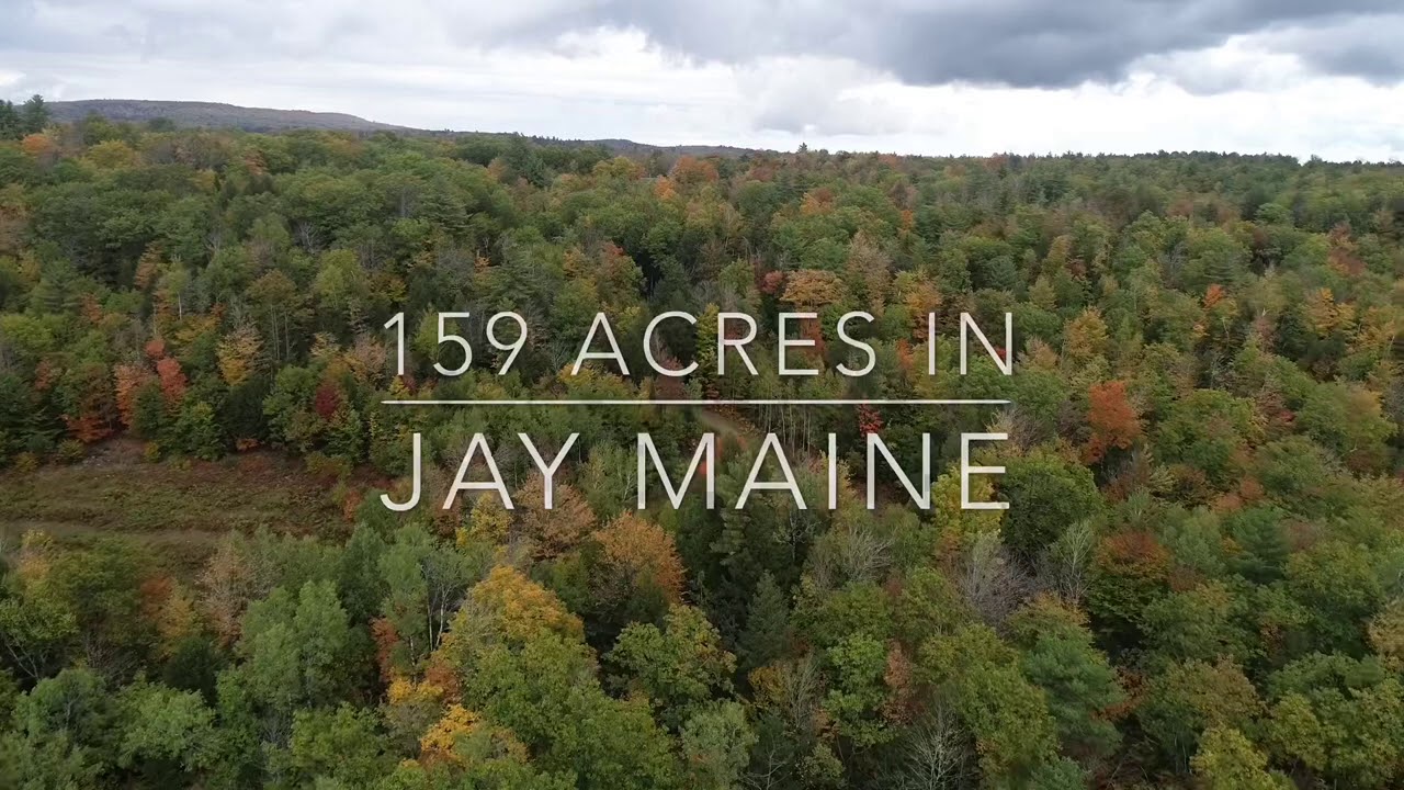 Mixed Wood Forest Maine Real Estate YouTube