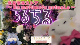 ちるちる mqdefault.jpg