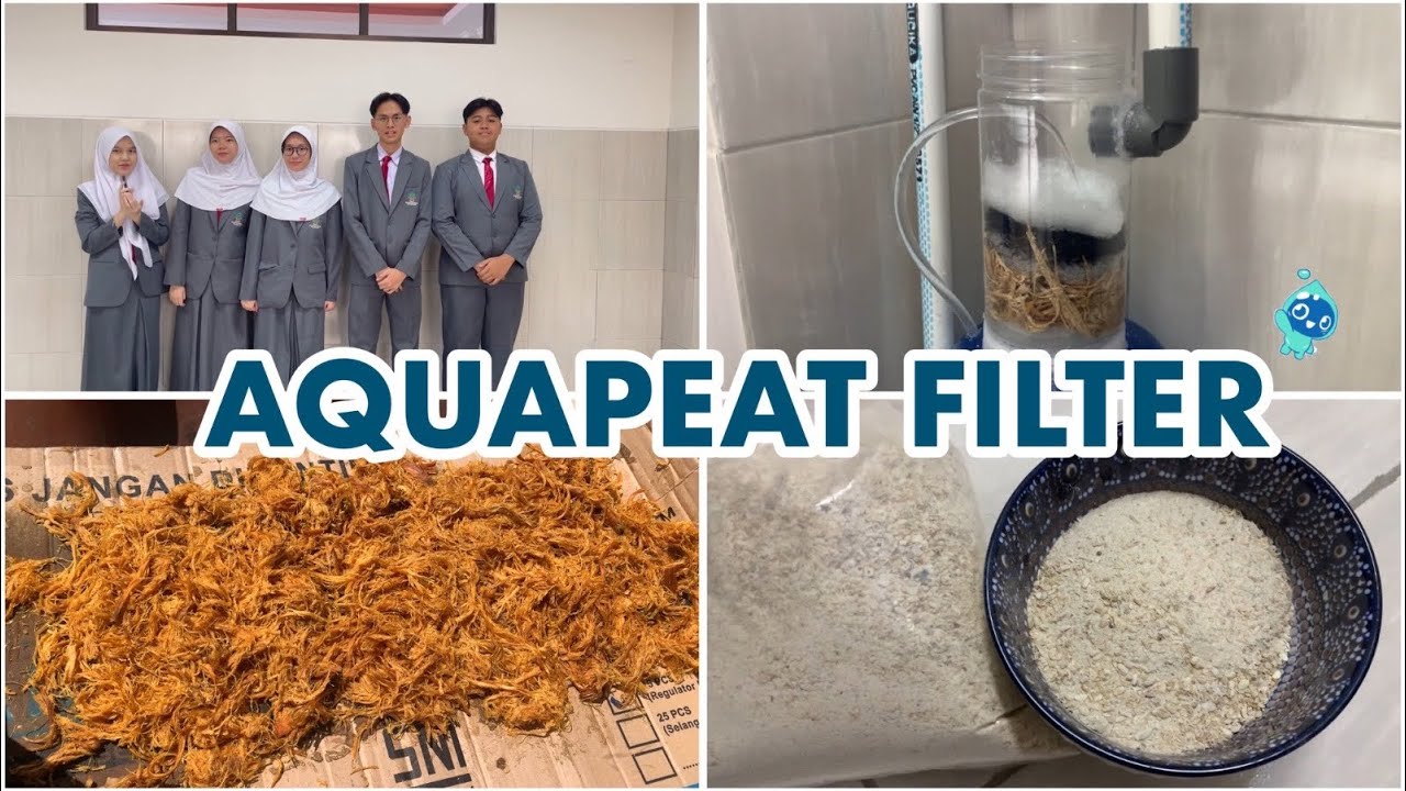 AquaPeat Filter: Peatwater Filter Model Based The Combination of CaCO3, Eichhornia Crassipes,.