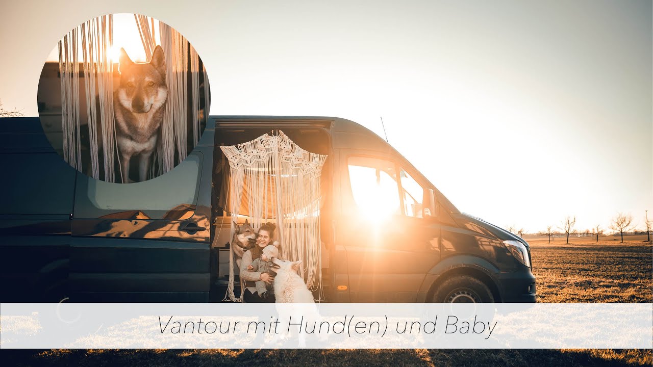 Die erste Van Reise mit Hund(en) & Baby 😍