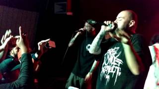 The Visionaries Pangea live @Complex