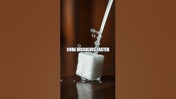 Salted Buoyancy: A Quick Density Demo