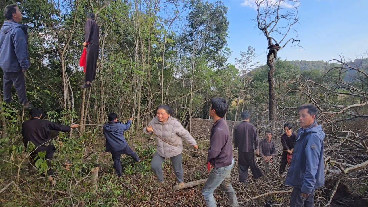 Phom sij kawg nkau lis nawb 16/2/2026