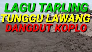 LAGU TARLING TUNGGU LAWANG DANGDUT KOPLO