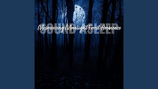 Mesmerizing Moonlight Forest Ambience, Pt. 7 - Elijah Wagner