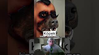 Hayvanlara Benzeyen İnsanlar