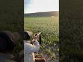 By My Side #adventure #outdoors #asmr #hunting #ruger #fyp #fypシ゚ #shorts #rugeramerican