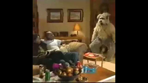 Whining Dog- The Real McCoy