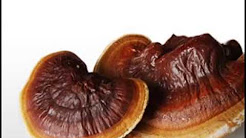 The Simple Truth About Reishi With Incredibly Result Stop Arthritis Pain