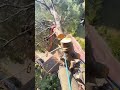 Using a CLEVER High Line to MOVE Heavy Tree Limbs 🛠️