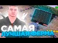 *80 ГРЯДОК* 24 ЧАСА РАБОТАЮ НА СВОЕЙ ФЕРМЕ ЛЬНА И ХЛОПКА - ЛУЧШЕ ЛЮБОГО БИЗНЕСА? ARIZONA RP (SAMP)