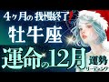 【牡牛座】【感動‥】約4ヶ月の悩みに終止符/年末年始の最高の景色🕊️想定外が力に変わる時《12月運勢》【星読みタロット】