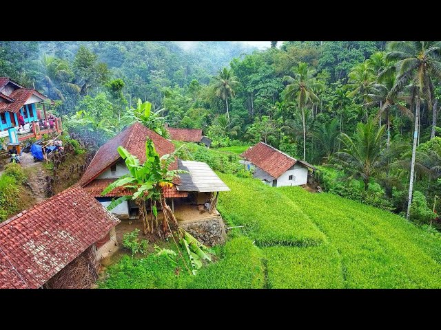 MASYA ALLAH😍 SUASANA PERNIKAHAN SUNDA DI KAMPUNG INDAH | HAJATAN DI PEDESAAN JAWA BARAT INDONESIA class=