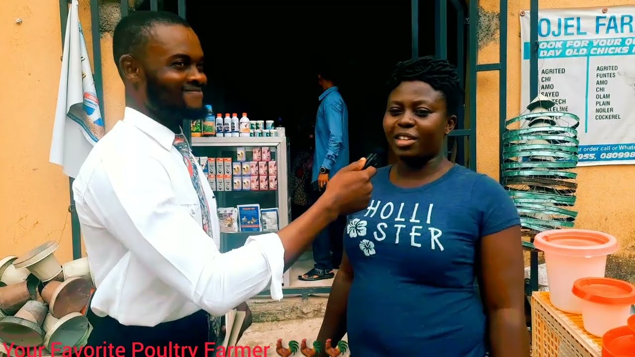 Rural Poultry Farmers Quite Due to High Cost of Feed in Nigeria.