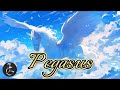 Light Canvas -Pegasus Gt.パンダの中のパンダ
