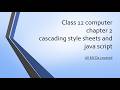 class 12 computer chapter 2 Cascading style sheets and java script | All MCQ covered