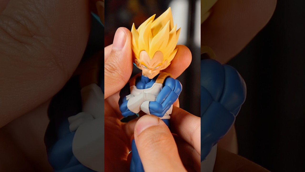 SH Figuarts Super Saiyan Vegeta Dangerous Pride Dragon Ball Z unboxing