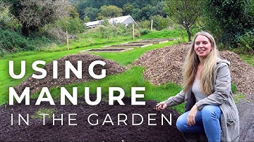 Using Manure in the Garden (and why it